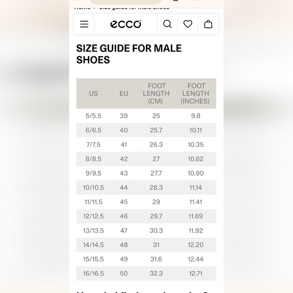 Ecco Men's Biom Trail Running Shoe men's size 46 - Picture 15 of 16